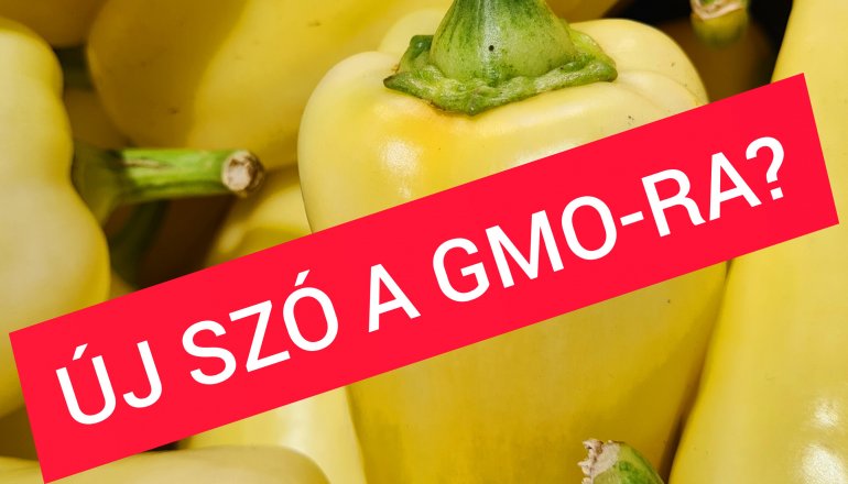 ÚJ SZÓ A GMO-RA?